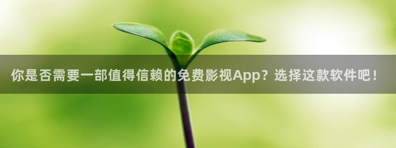 手机光棍影院11111